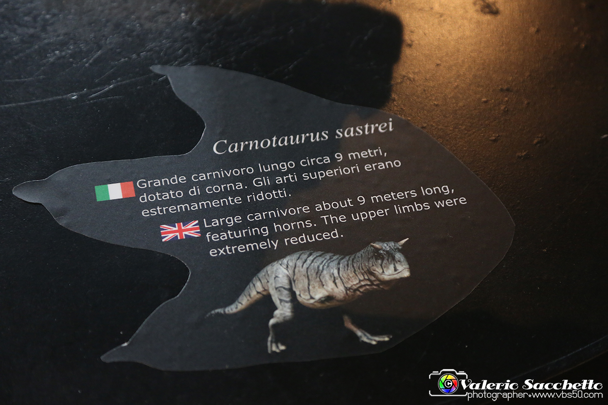 VBS_0878 - Dinosauri. Terra dei giganti.jpg